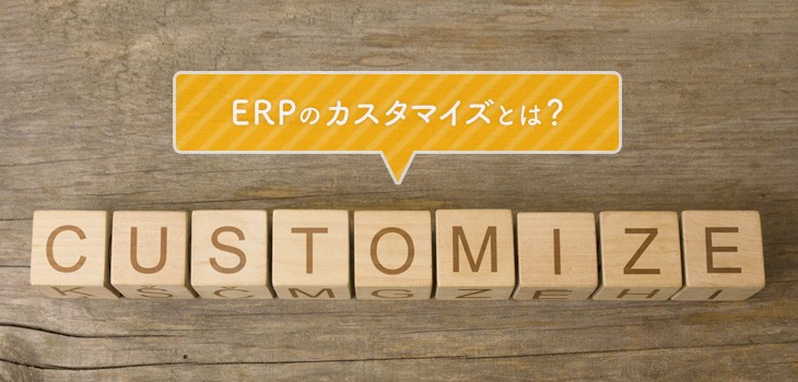 ERPのカスタマイズとは？費用やコスト増のリスクについて詳しく解説