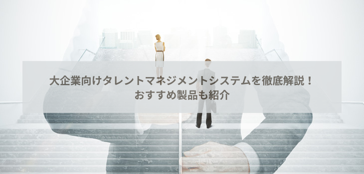 大企業向けタレントマネジメントシステム７選比較！導入事例や選び方も紹介
