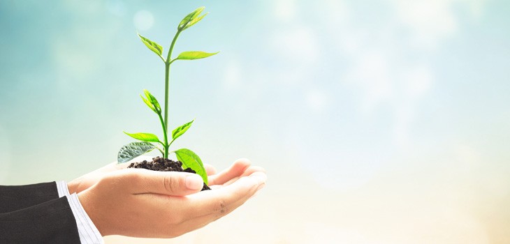 トラフィック監視初心者でも分かる基礎解説