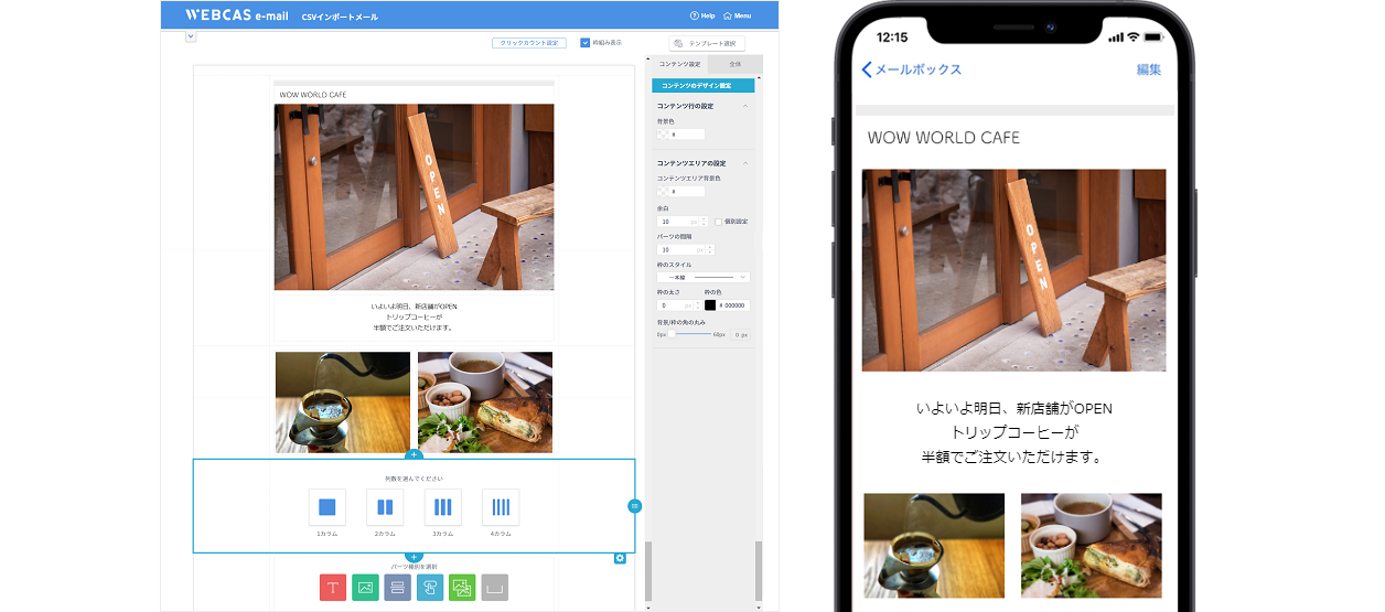 WEBCAS e-mail_利用画面サンプル2