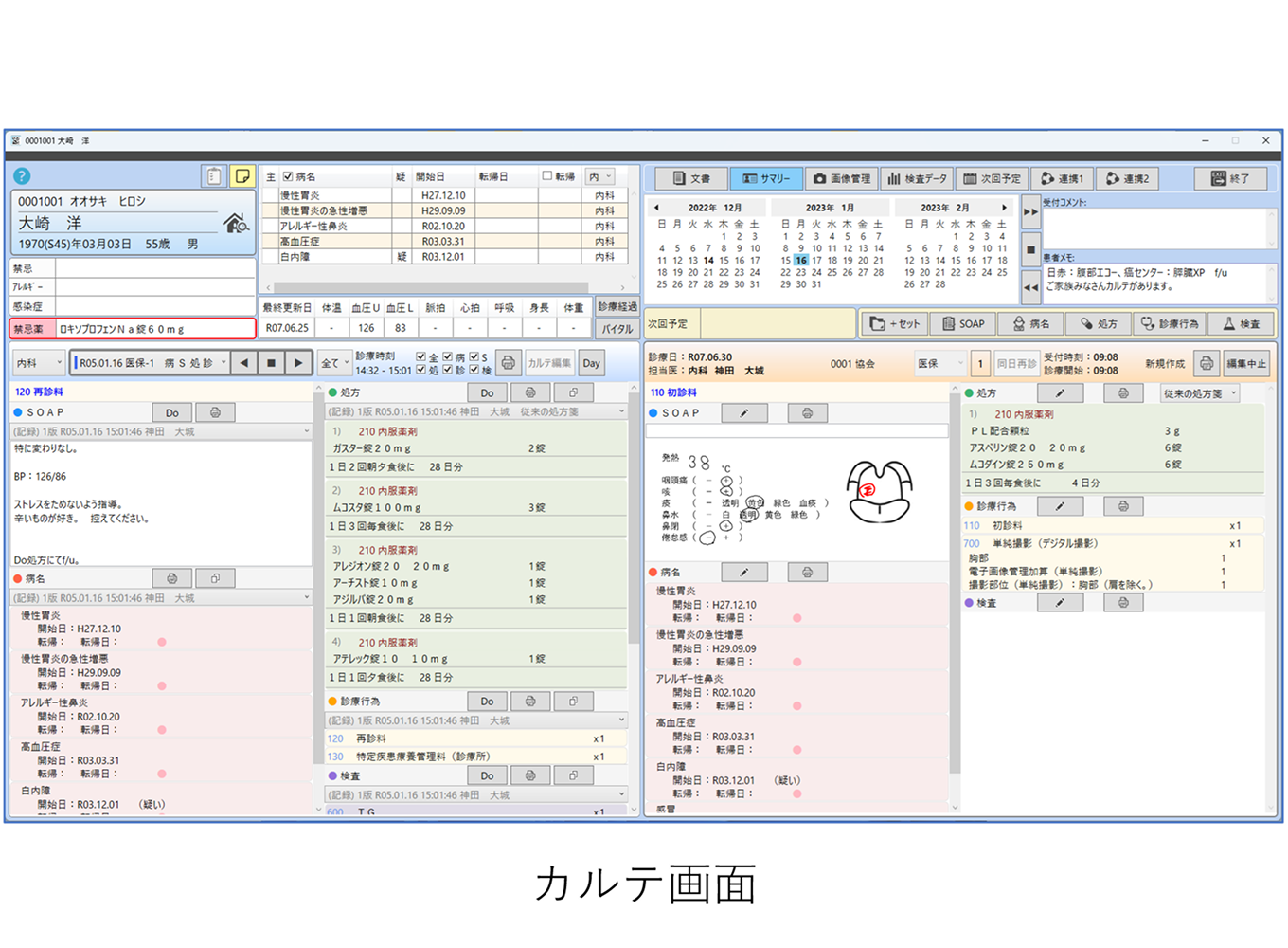 医師協 Zebra for Karte_利用画面サンプル1