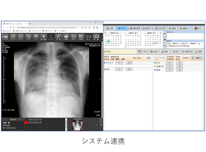 医師協 Zebra for Cloud-Karte_利用画面サンプル2