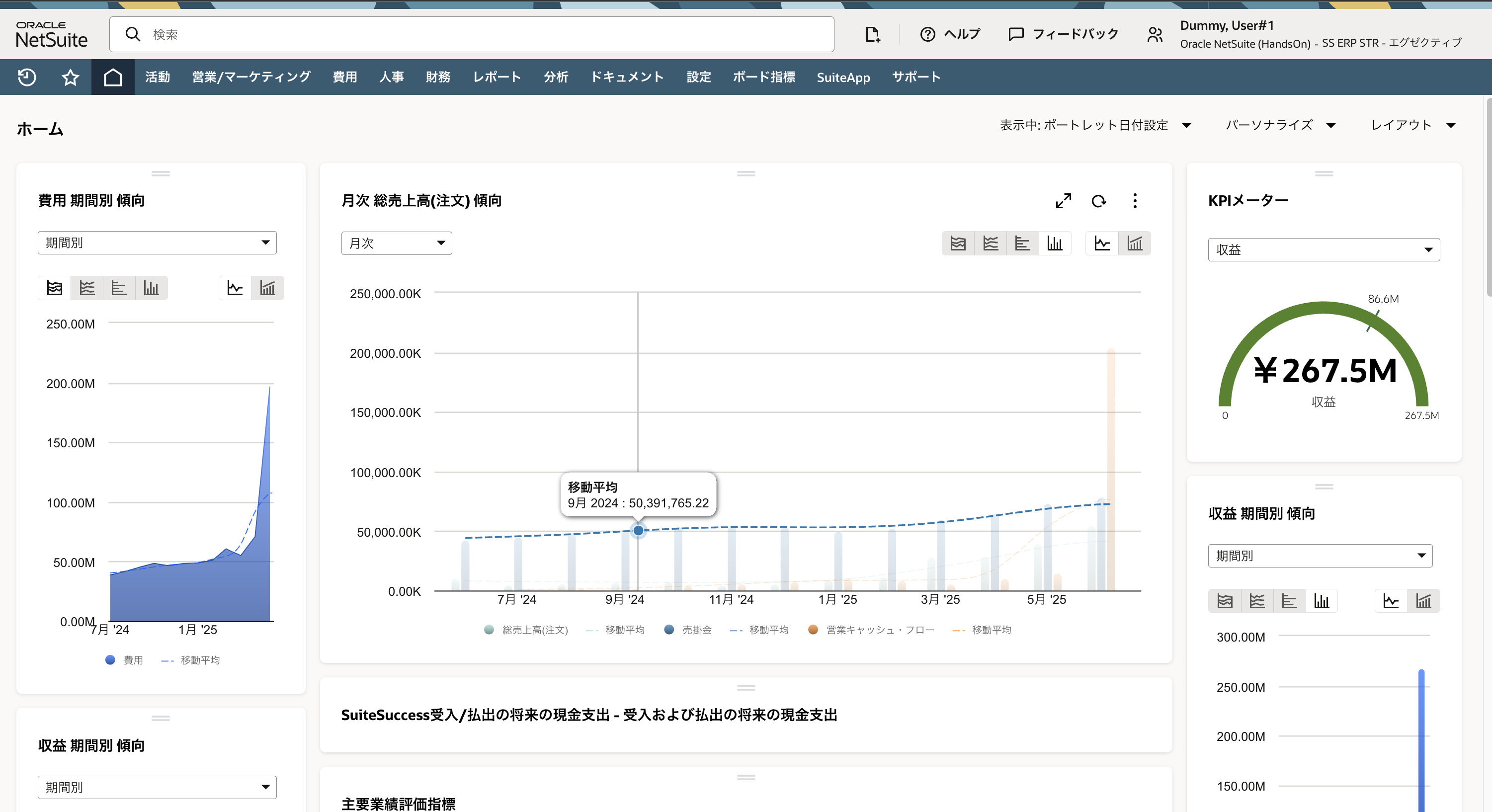 Oracle NetSuite_利用画面サンプル1