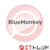BlueMonkey